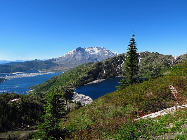 Gifford Pinchot National Forest